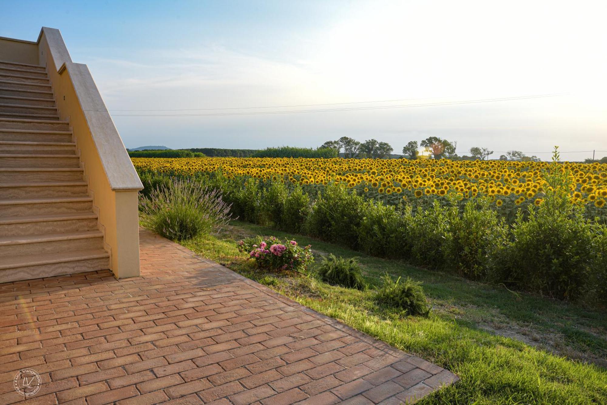 Agriturismo Villa Toscana Campiglia Marittima Extérieur photo