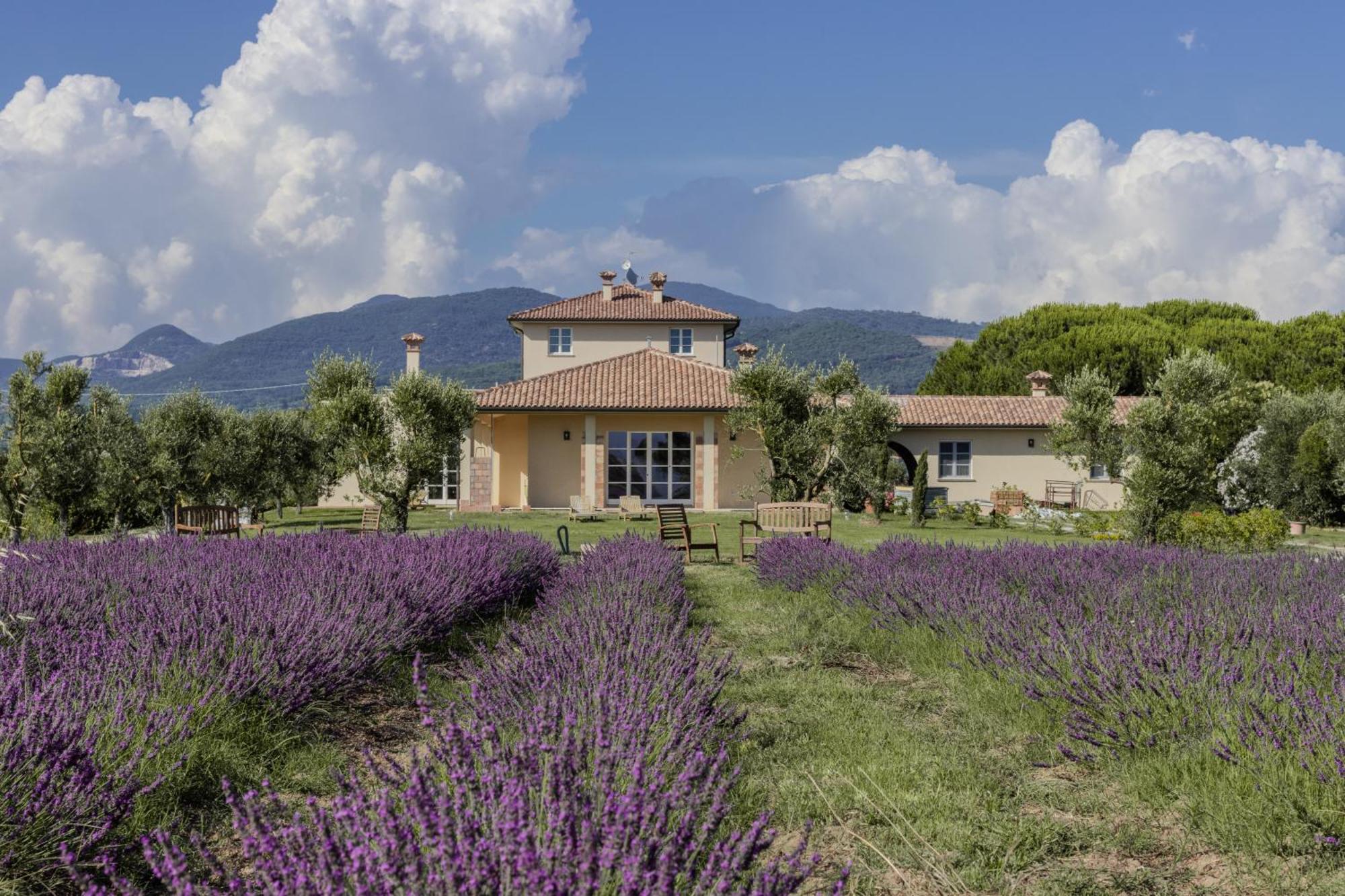 Agriturismo Villa Toscana Campiglia Marittima Extérieur photo